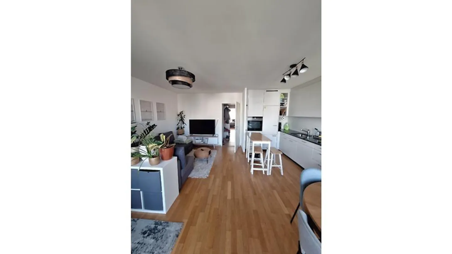 APPARTEMENT 2 PIÈCES À BASEL - GUNDELDINGEN, MEUBLÉ, TEMPORAIRE - Photo 3 sur 6