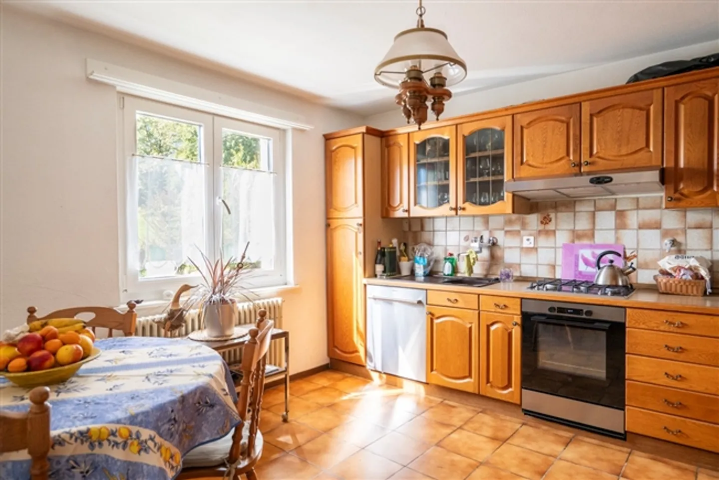 Plot of 2,446 m2, rental house and workshop building - Photo 13 of 13