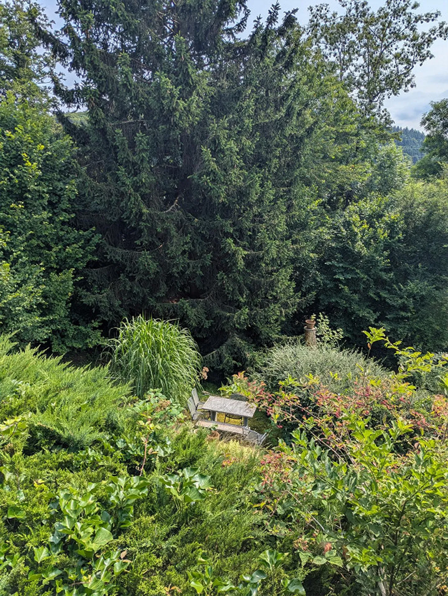 Occasion rare dans un emplacement de choix à St. Georgen - Photo 14 sur 14