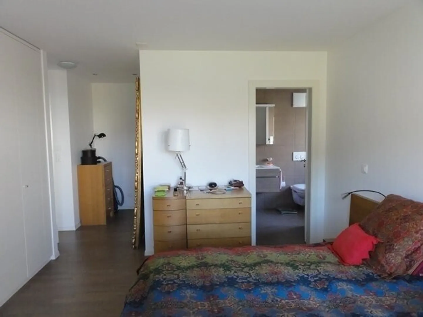 Vista mozzafiato sul lago e sulle Alpi - Foto 11 di 11