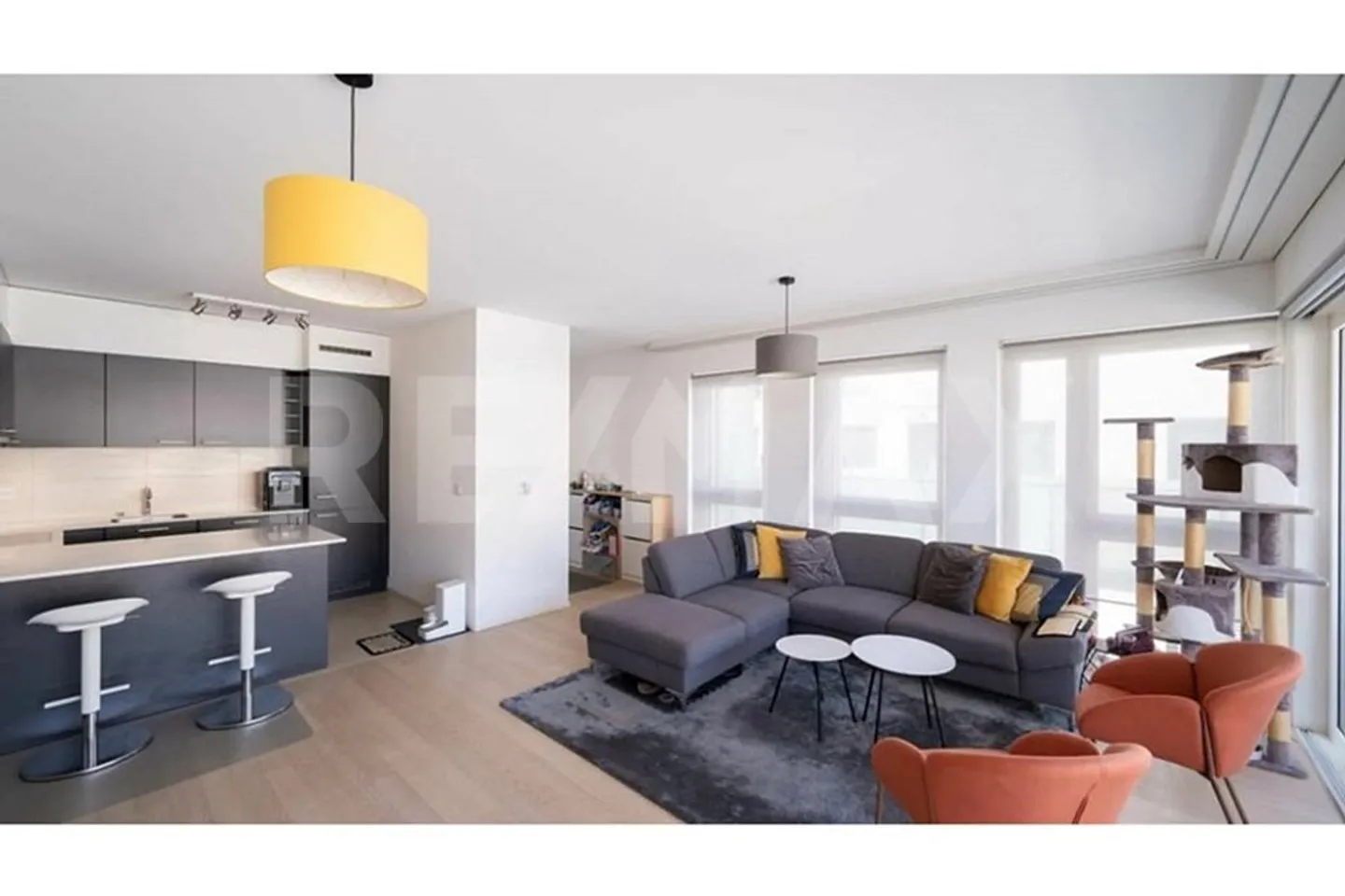 Charming Apartment in Carouge - Photo 1 of 7