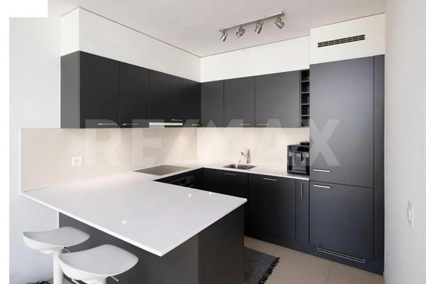 Charming Apartment in Carouge - Photo 5 of 7