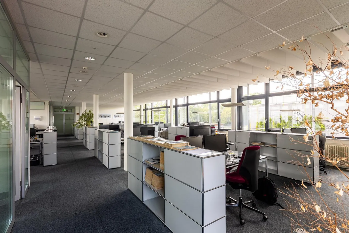 Bright Working Environment in Business Park Bern - Photo 4 of 8