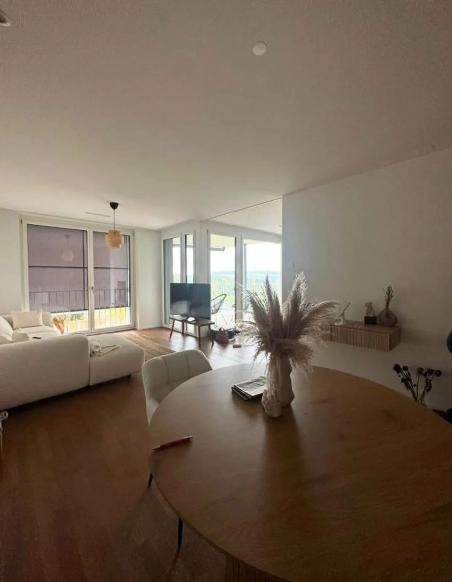 1.5 Room Apartment - Photo 1 of 5