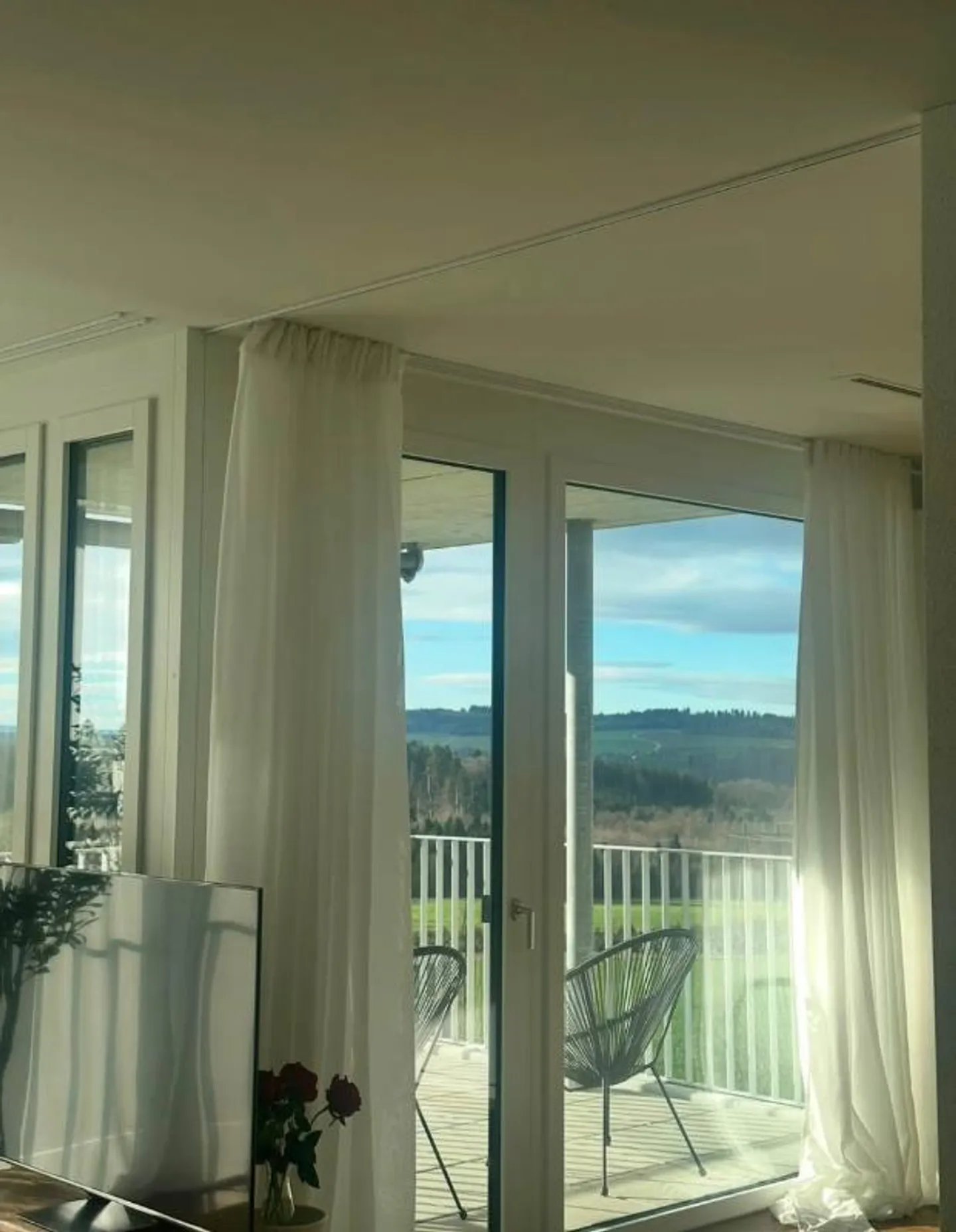 1.5 Room Apartment - Photo 3 of 5