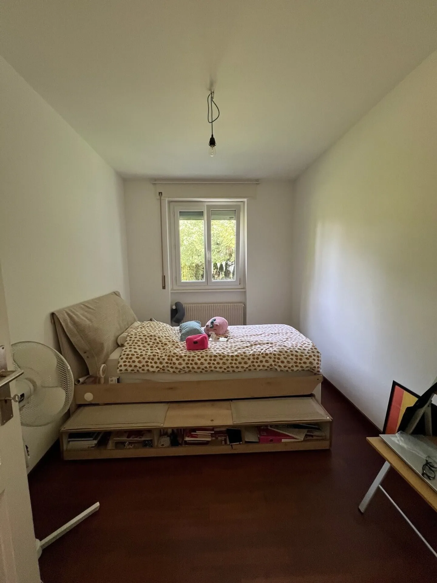 Magnifica villa indipendente immersa in un verdeggiante contesto - Foto 11 di 13