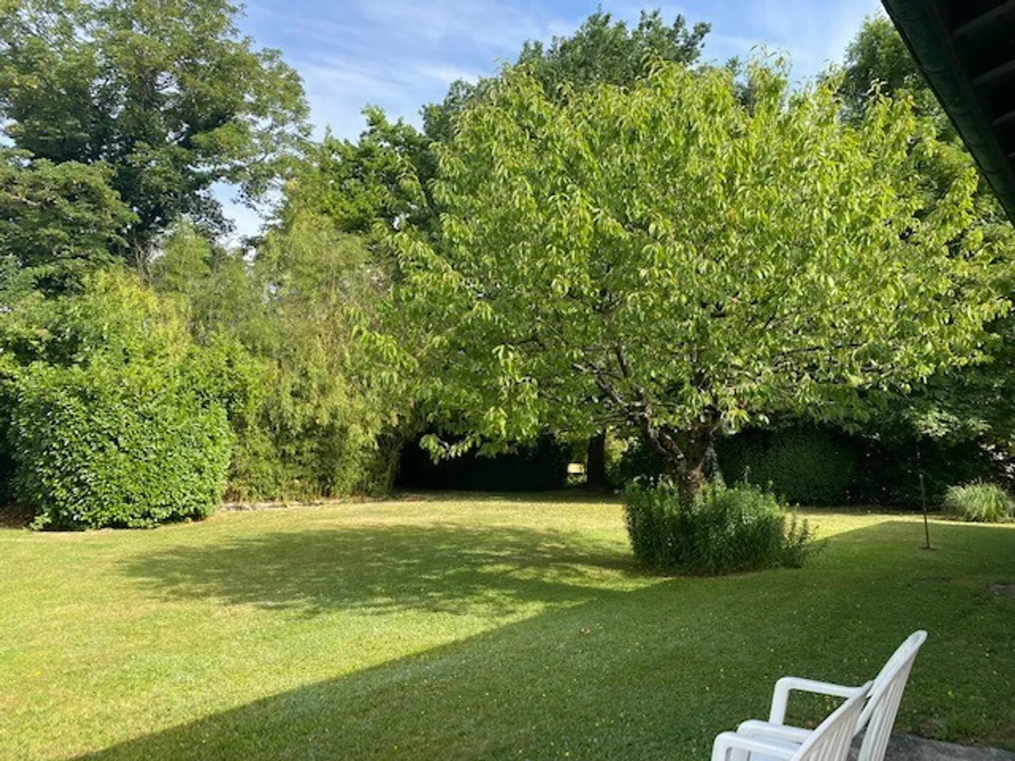 Magnifica villa indipendente immersa in un verdeggiante contesto - Foto 4 di 13