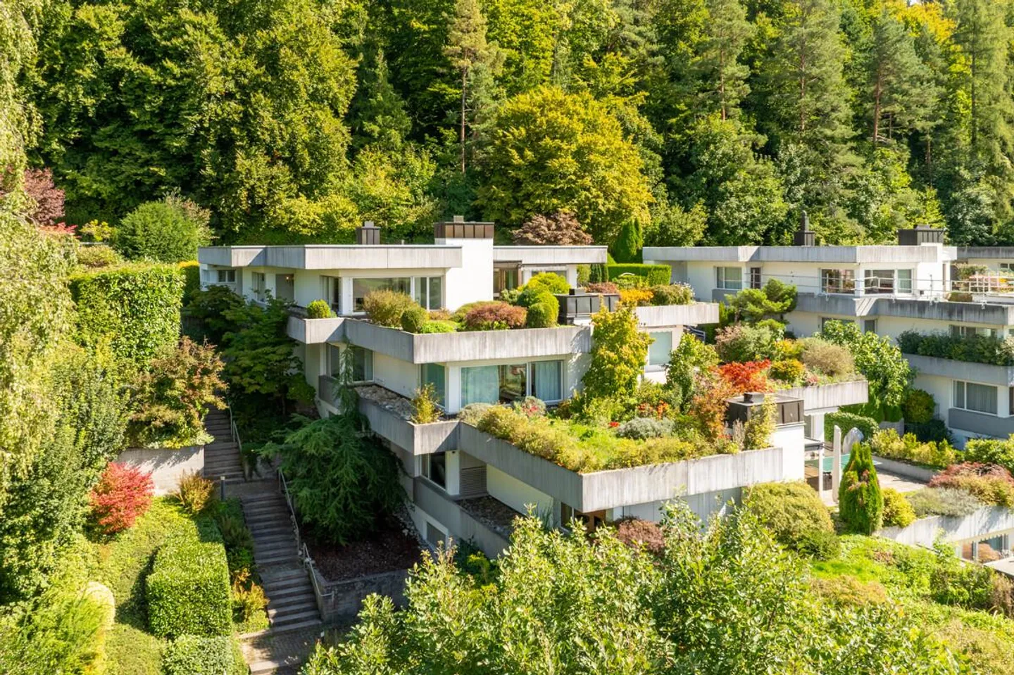 Wettswil: ampia casa a terrazza con vista lontana e potenziale - Foto 1 di 6