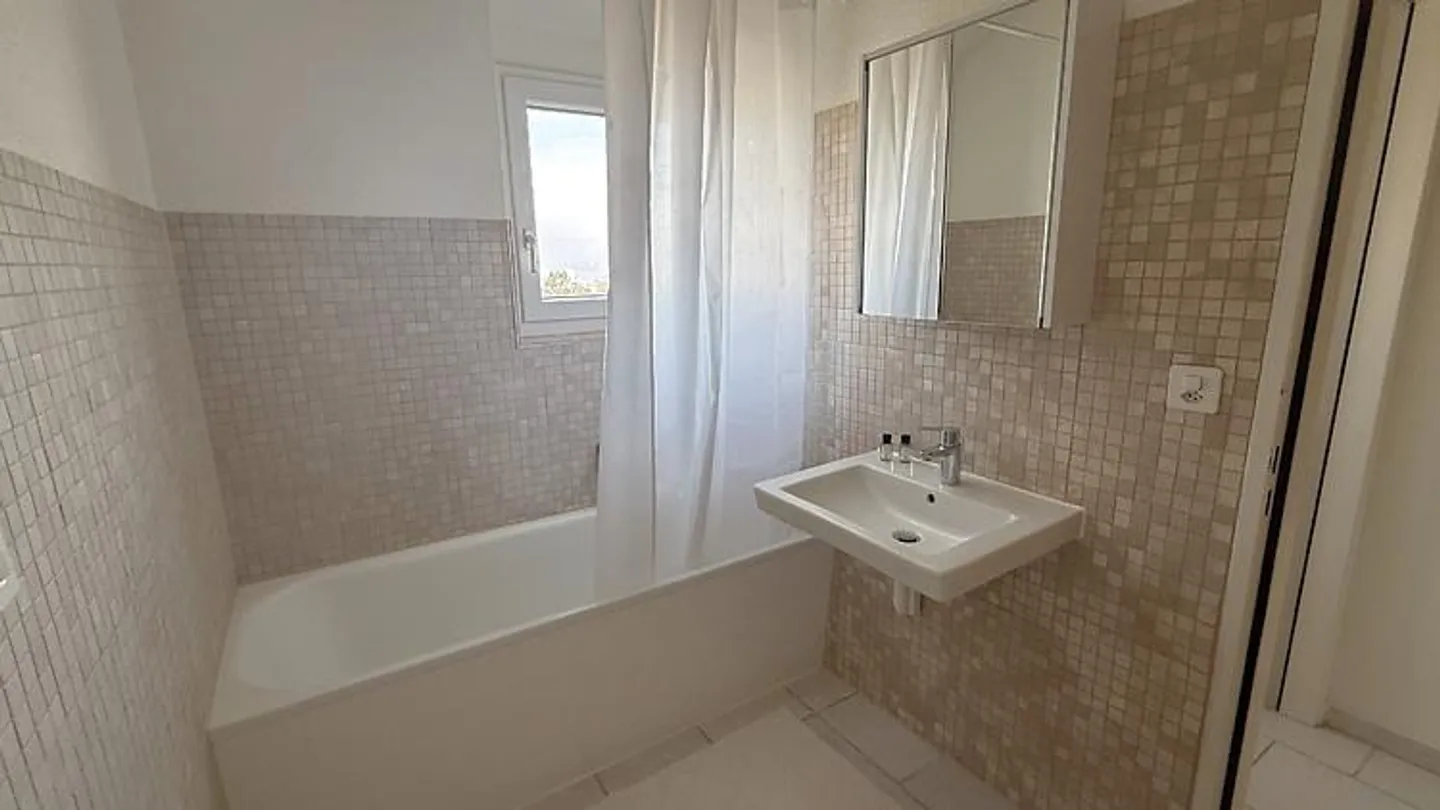 3½ ROOM PENTHOUSE APARTMENT IN HORGEN (ZH), FURNISHED - Photo 4 of 10