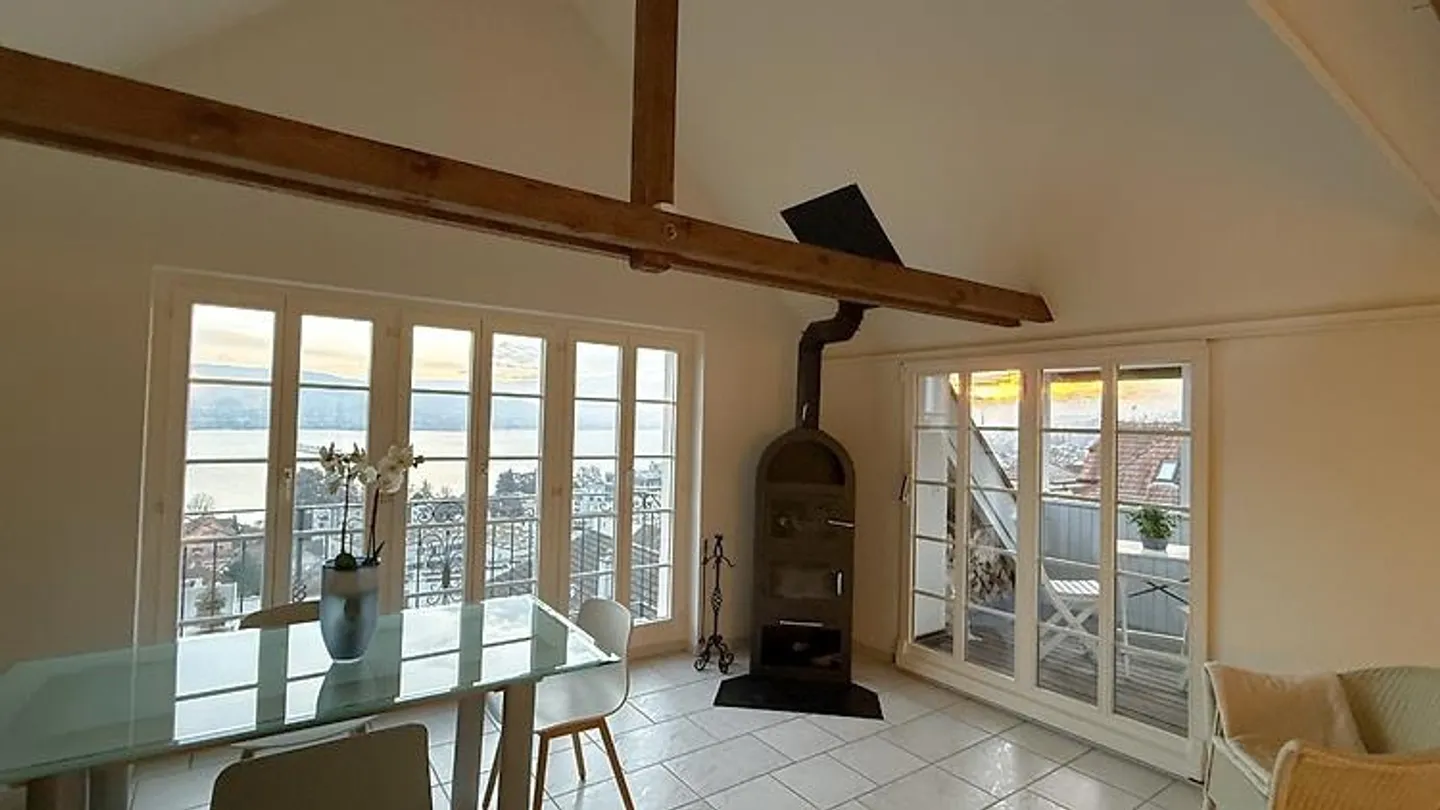 3½ ROOM PENTHOUSE APARTMENT IN HORGEN (ZH), FURNISHED - Photo 9 of 10
