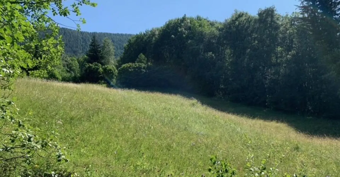Building land Mayen de l'Arbarey - Saxon - Photo 2 of 3