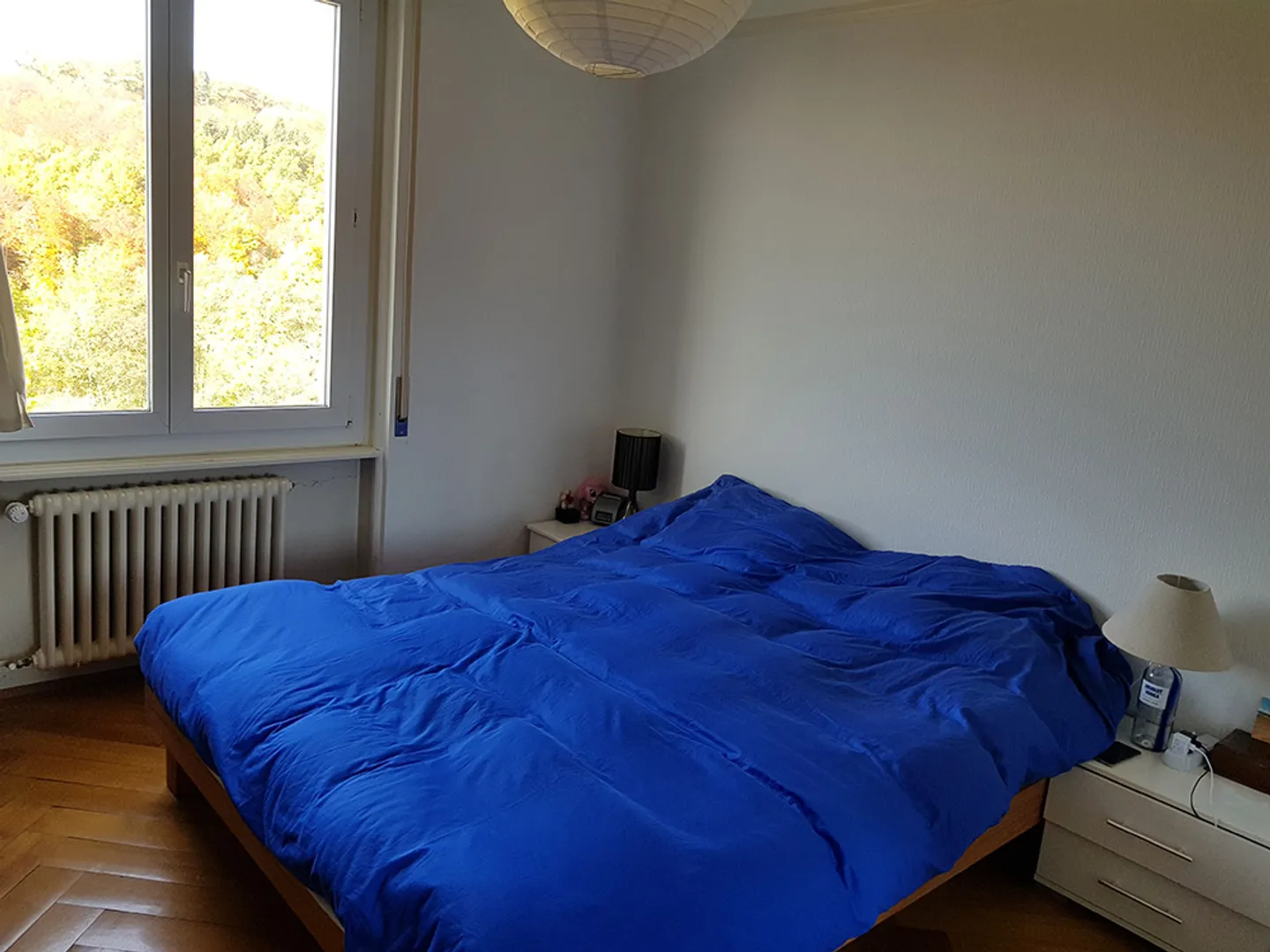 Bright apartment with a free view of the lake - Photo 5 of 6