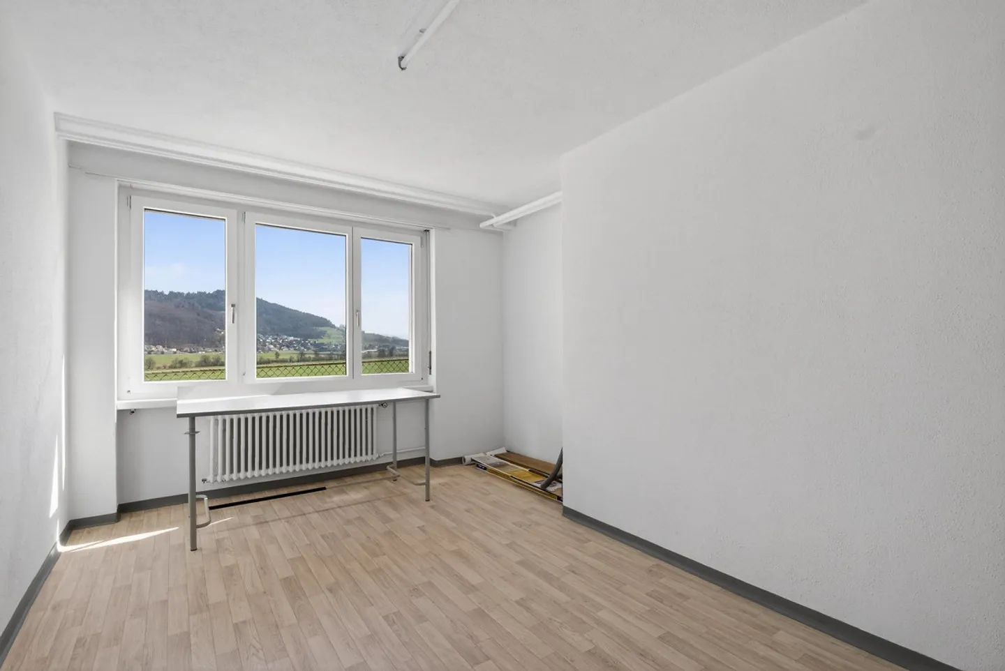 Spacious Multi-Family House with Pool and Mountain View in Gontenschwil - Photo 11 of 14