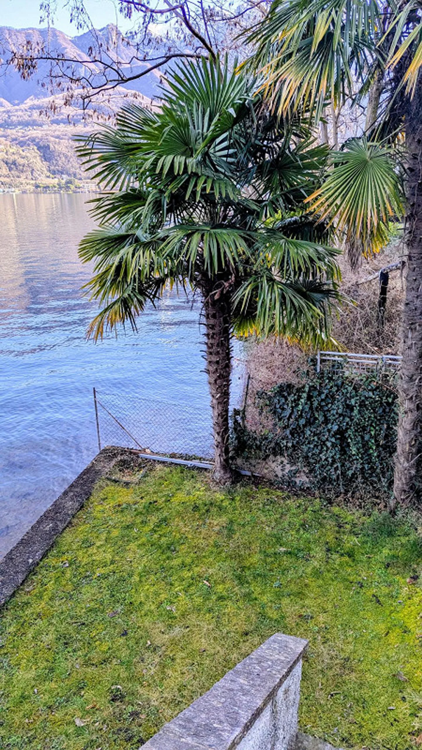 Maison de vacances avec 2 studios et un cabanon au lac de Lugano - Photo 6 sur 25