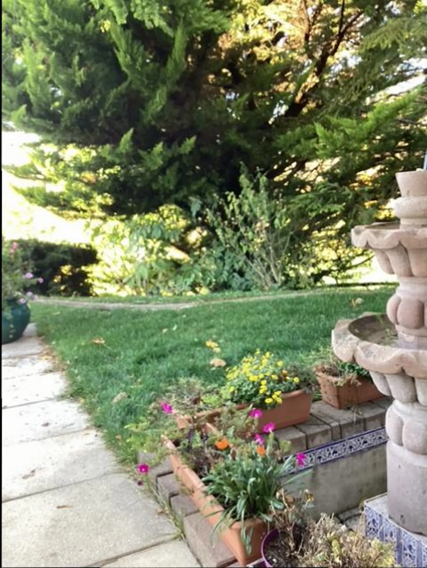 APPARTAMENTO DI 3,5 LOCALI IN VILLA - Foto 8 di 9