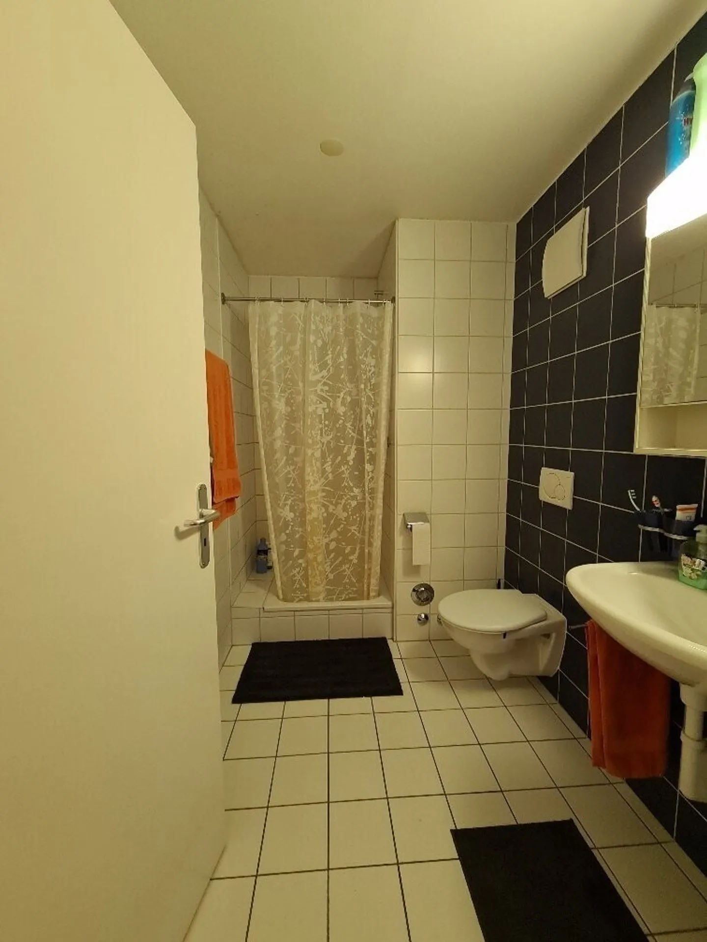 Beautiful 5.5-room apartment in a family neighborhood - Photo 4 of 7