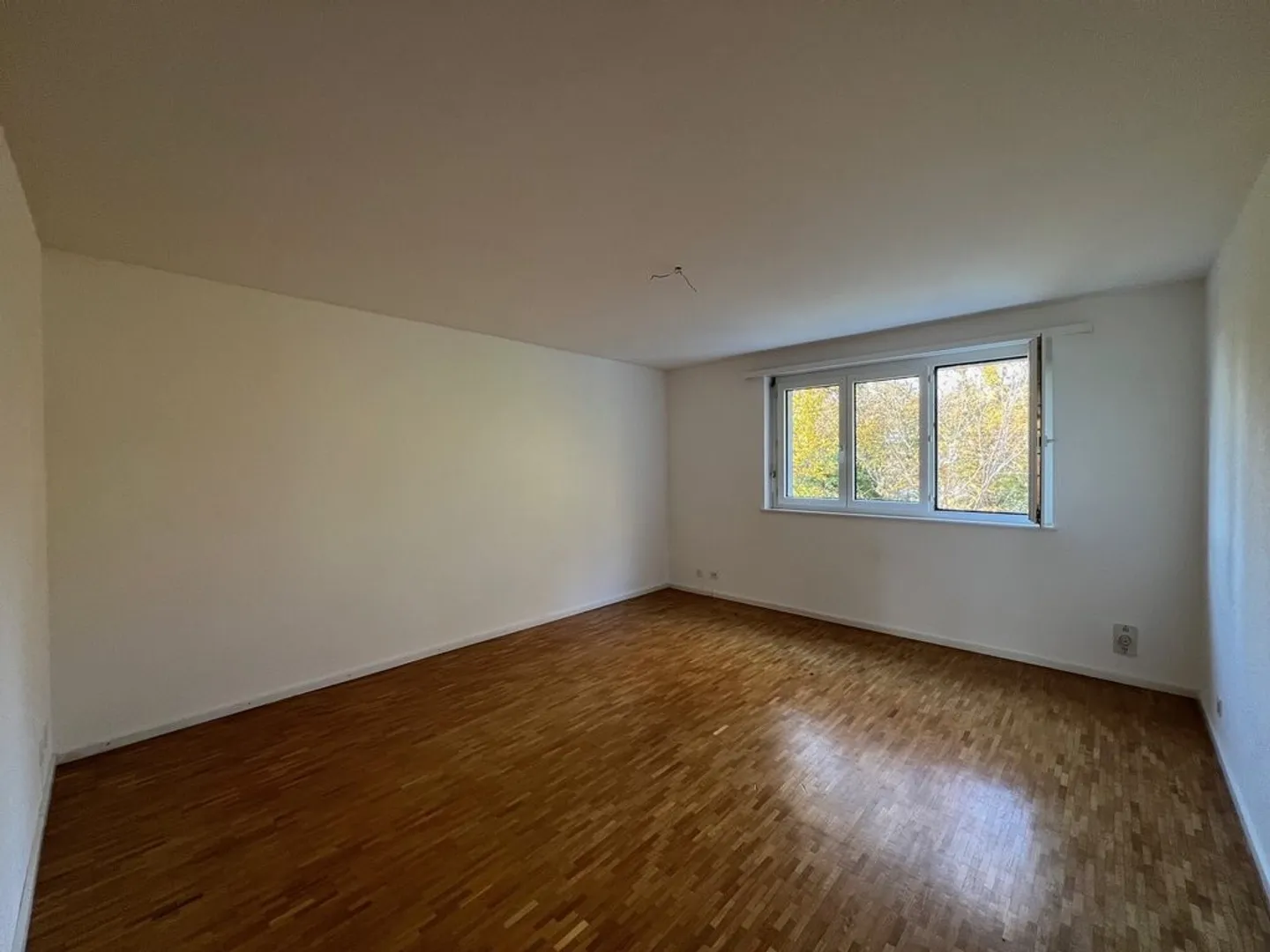 Spacious apartment in a quiet and green neighborhood - Photo 6 of 10