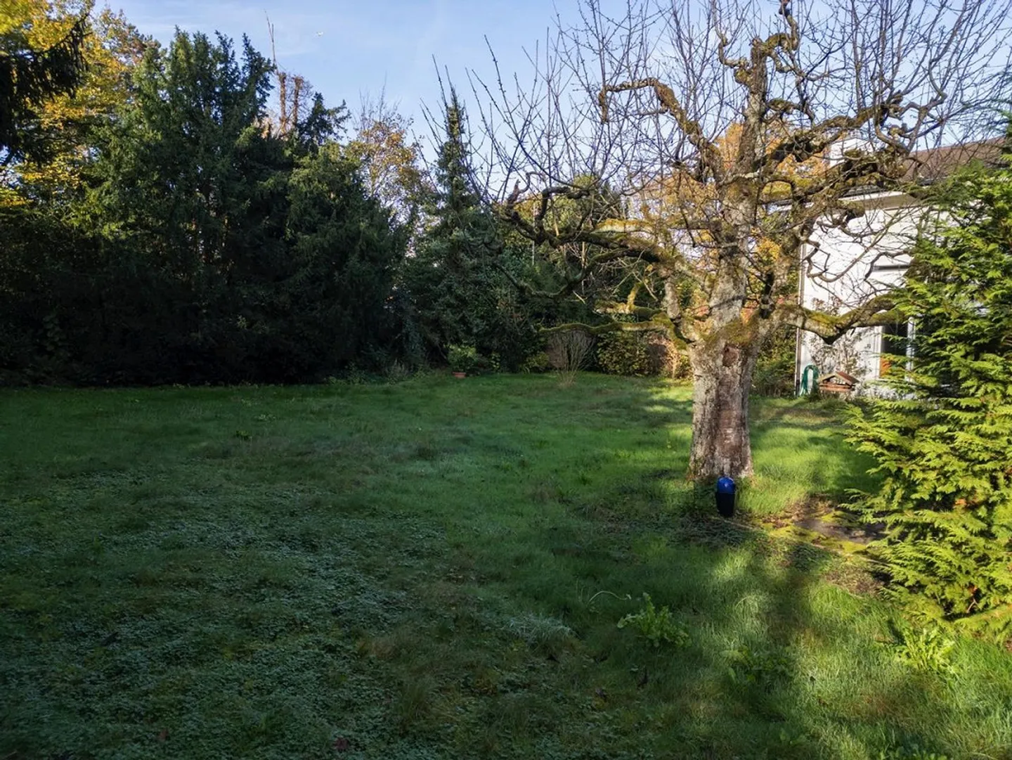 Grande parcelle pour seulement 1 grande maison individuelle luxueuse - Photo 4 sur 5