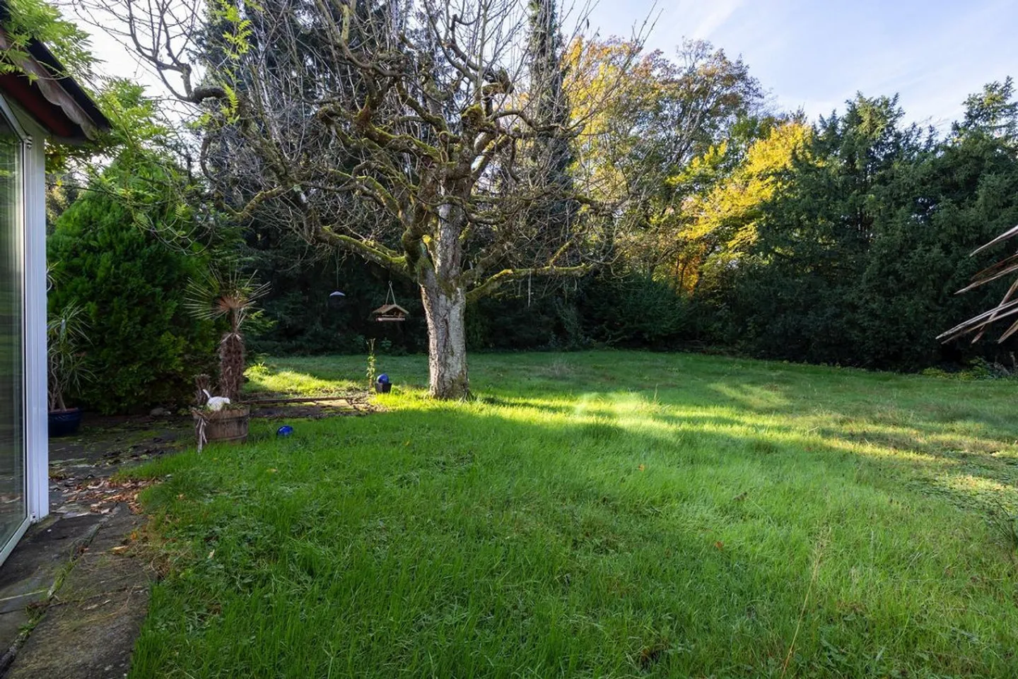 Grande parcelle pour seulement 1 grande maison individuelle luxueuse - Photo 5 sur 5