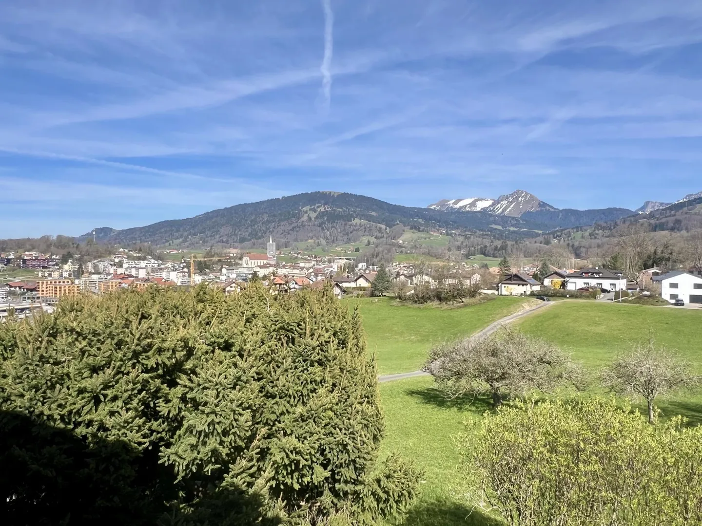 FOR SALE? Exceptional farm in Châtel-Saint-Denis - Photo 3 of 3