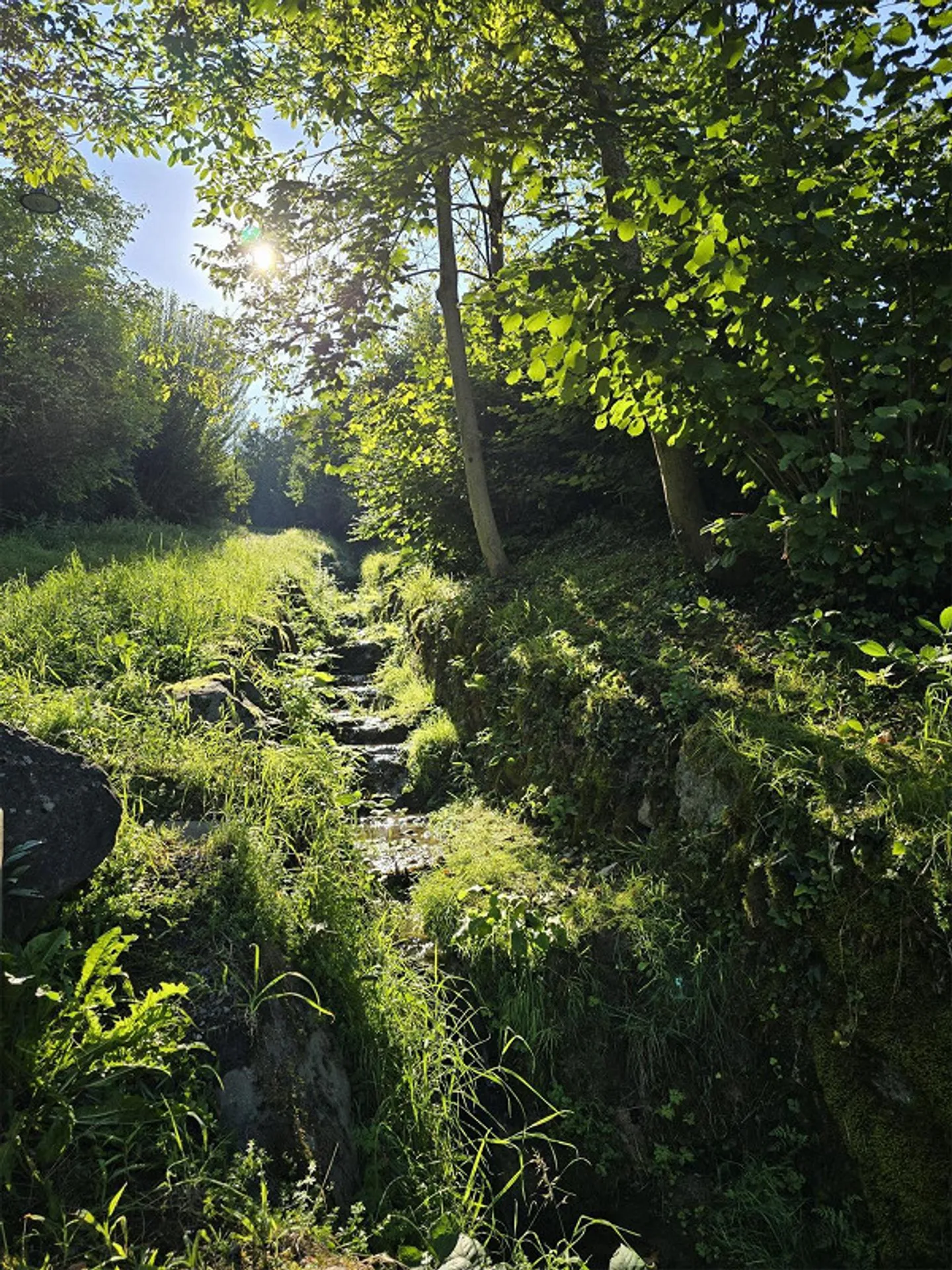 Un'offerta davvero straordinaria! - Foto 3 di 23