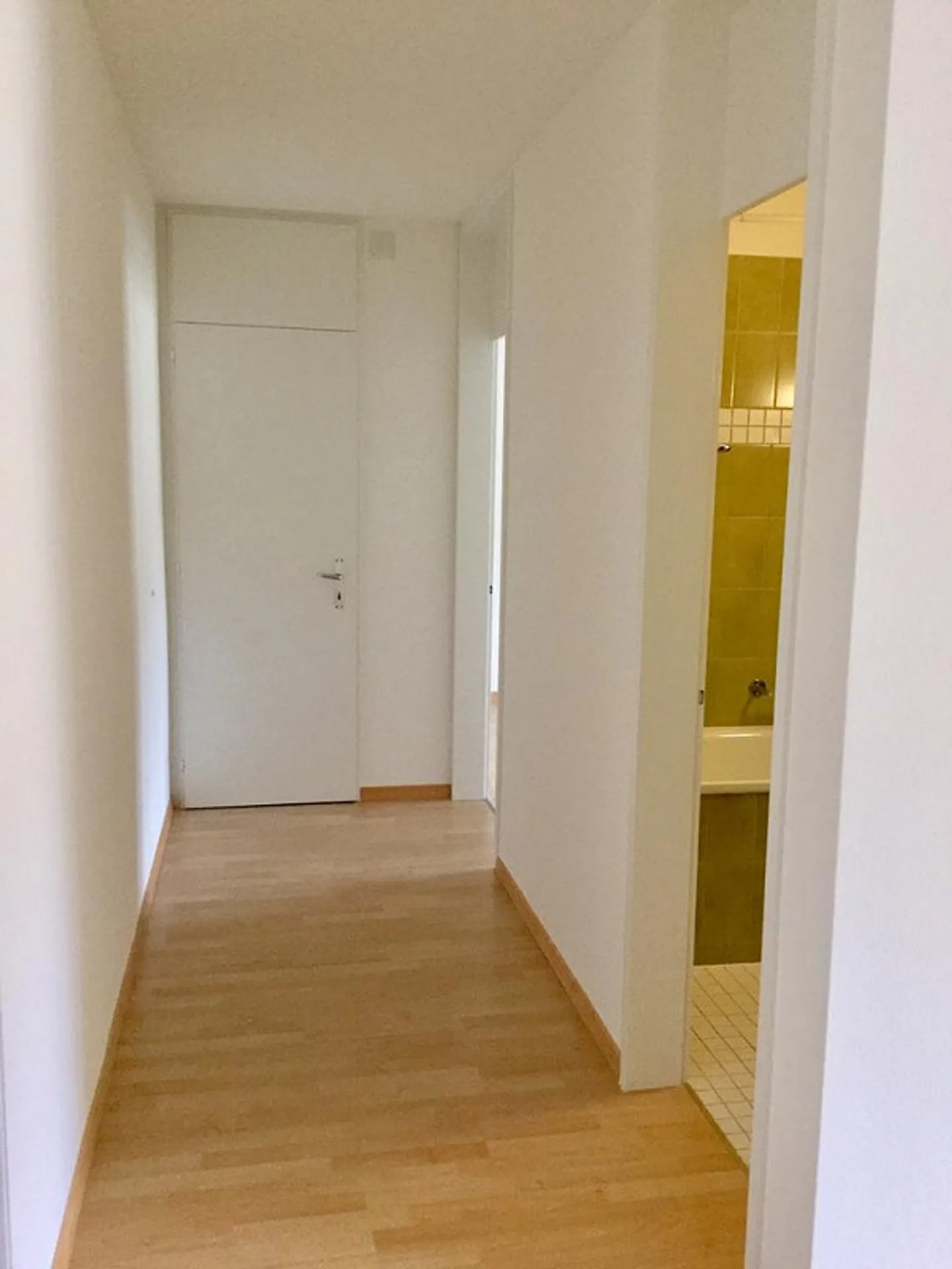 Qualità della vita lungo la Sihl - Foto 4 di 11