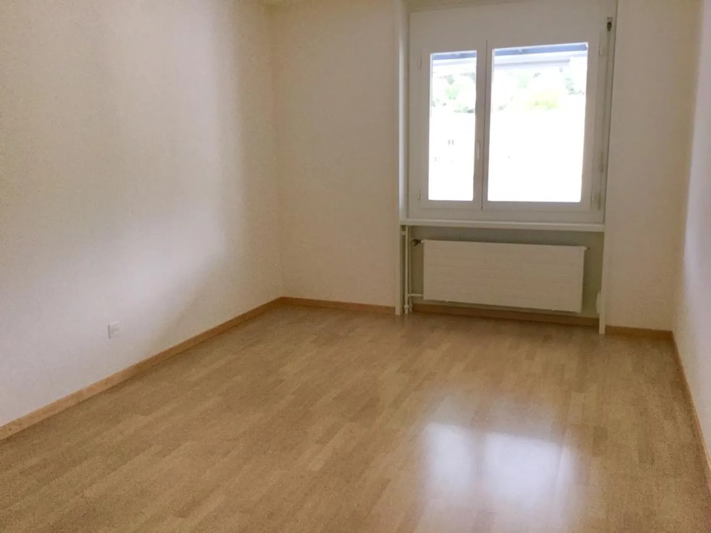 Qualità della vita lungo la Sihl - Foto 9 di 11