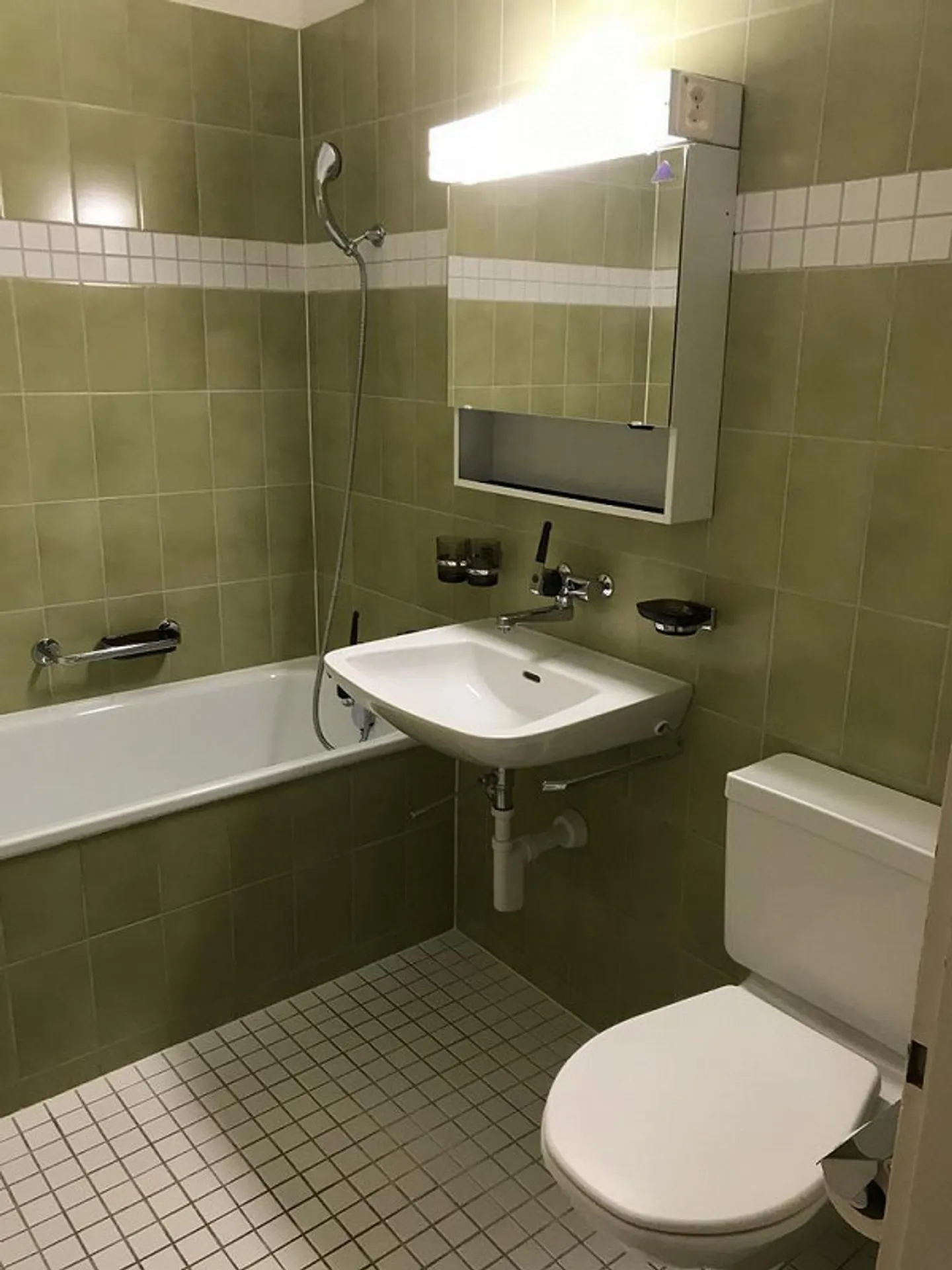 Qualità della vita lungo la Sihl - Foto 11 di 11