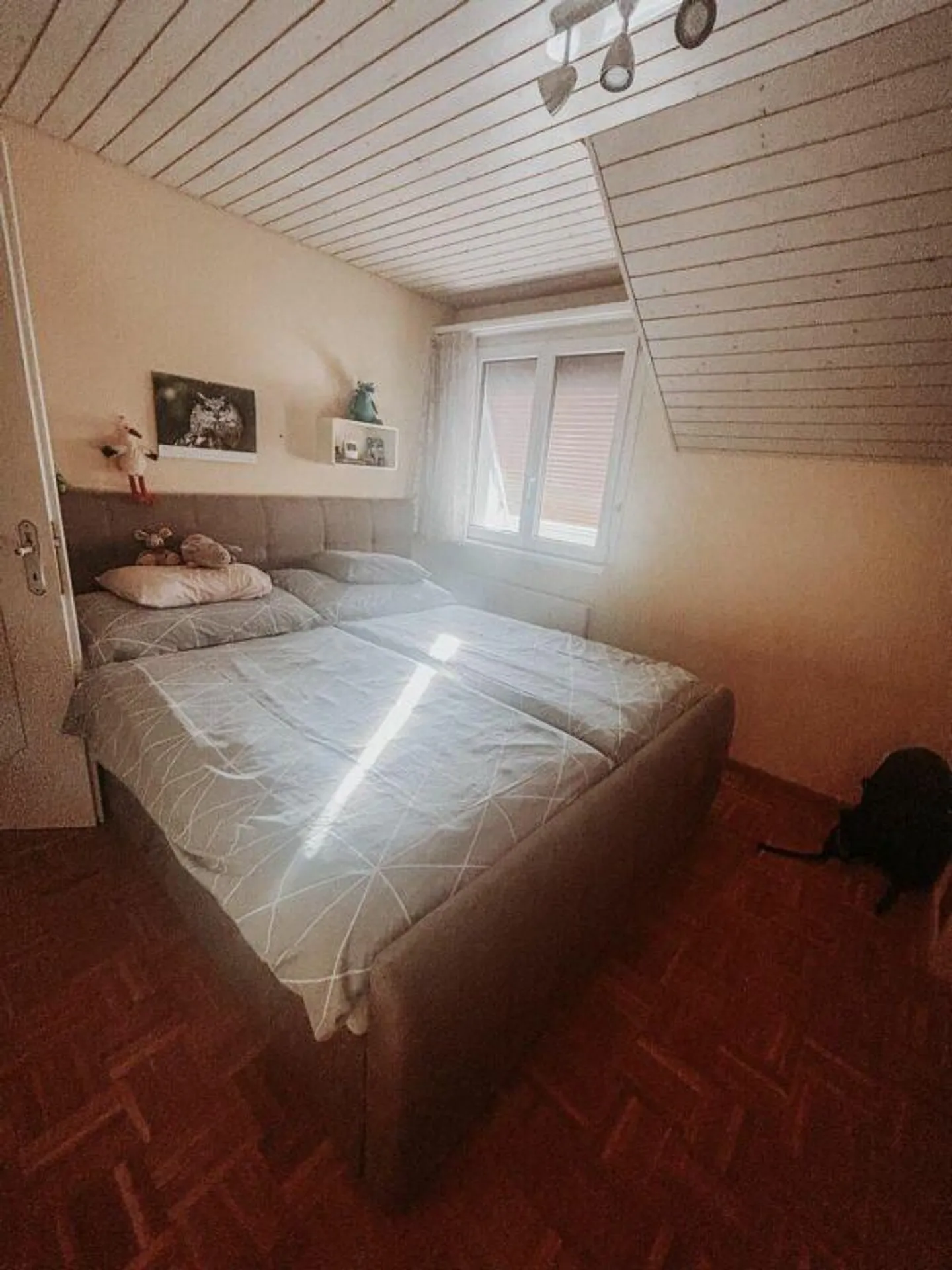 Il tuo piccolo ma grazioso paradiso ai margini della natura – Incantevole casa di 3,5 stanze - Foto 8 di 13