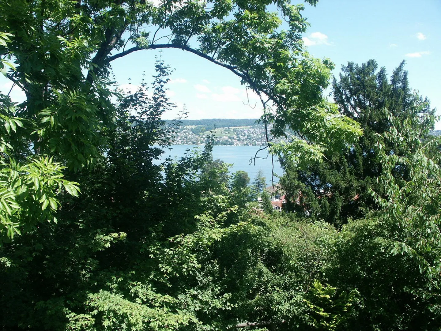 EXPÉRIENCE DE VIE INHABITUELLE DANS UN DÉVELOPPEMENT UNIQUE AVEC ACCÈS AU LAC - Photo 25 sur 27