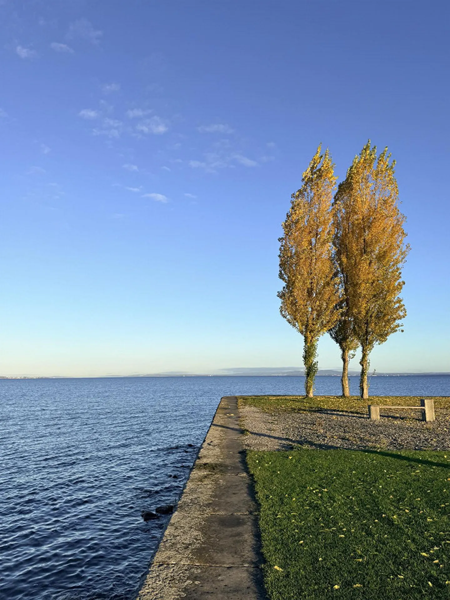 Cercasi nuovo inquilino in un appartamento sul lago di Costanza - Foto 9 di 12
