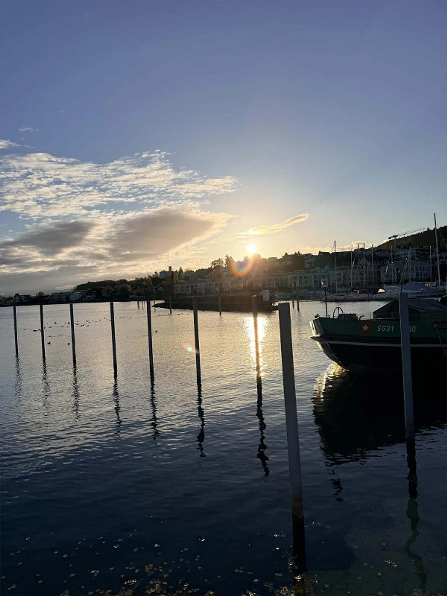 Cercasi nuovo inquilino in un appartamento sul lago di Costanza - Foto 10 di 12