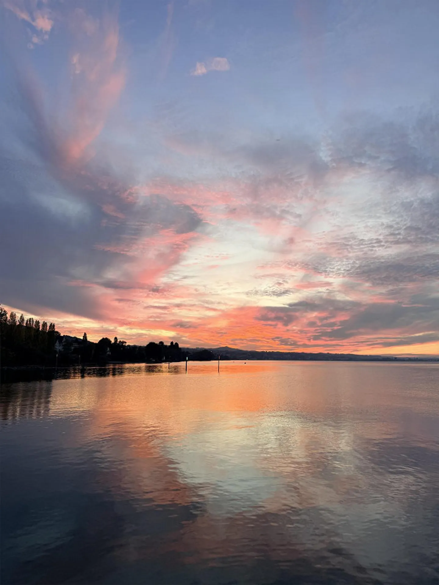Cercasi nuovo inquilino in un appartamento sul lago di Costanza - Foto 12 di 12