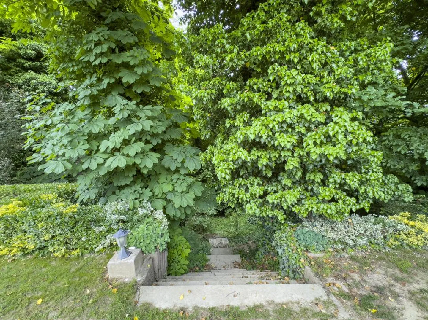 Esclusivo: Proprietà straordinaria in zona residenziale - Foto 7 di 8