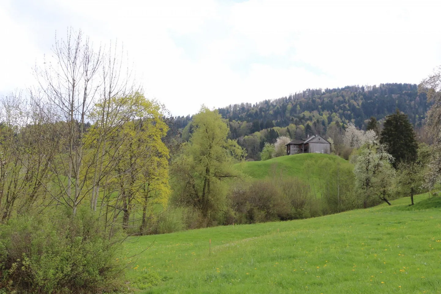 Terrain à bâtir avec projet approuvé (maison de ferme) dans le Toggenburg - Photo 6 sur 9