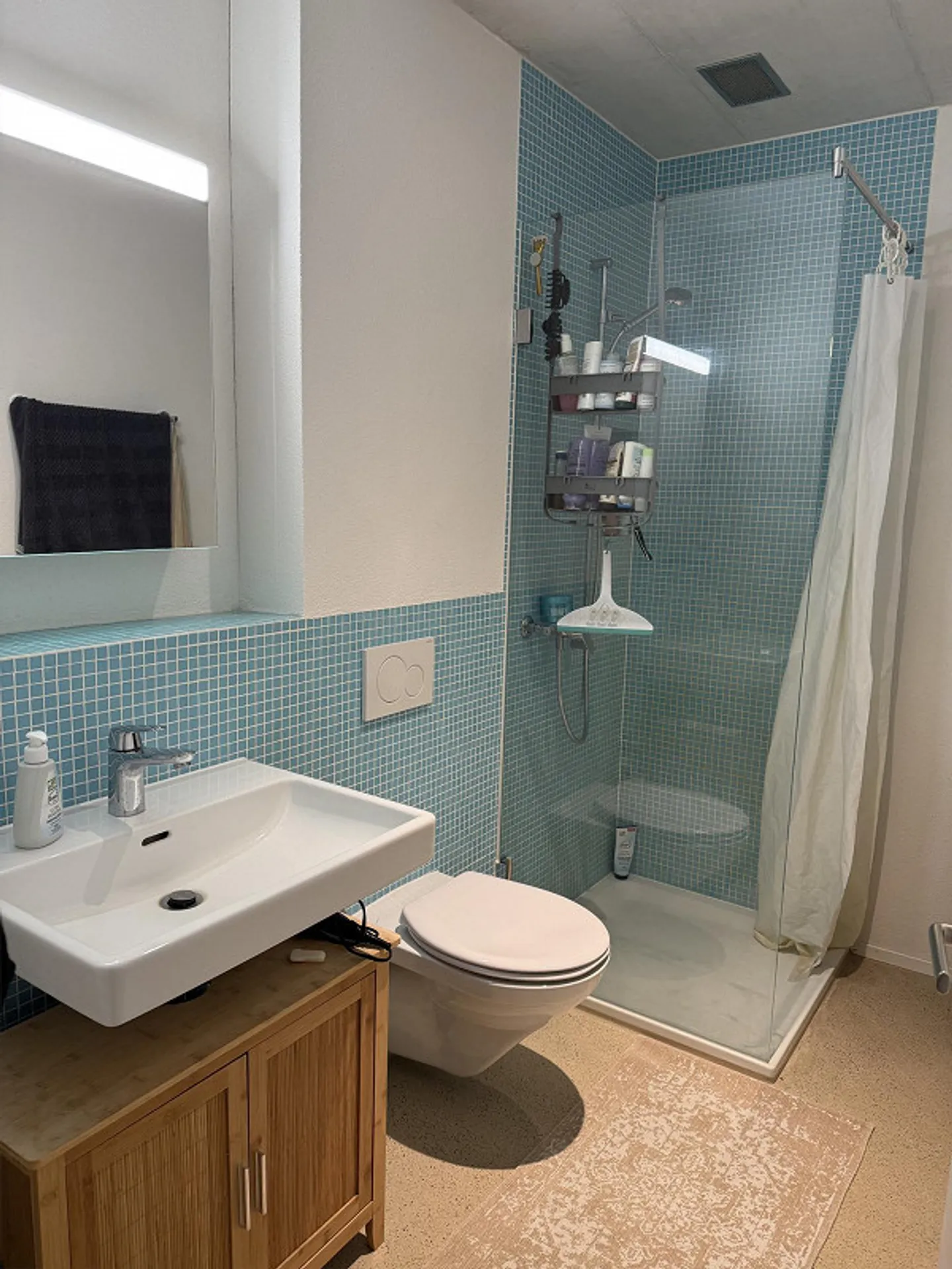 Top Moderne 4.5 Zimmer-Wohnung mit Rhein- + Weitsicht - Foto 7 von 11