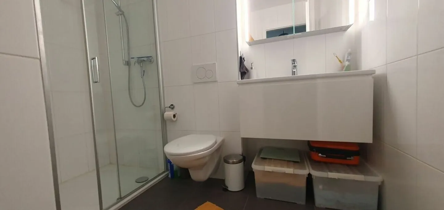 STANDING - 2.5 rooms on the 1st floor with parking space and swimming pool - Photo 6 of 7