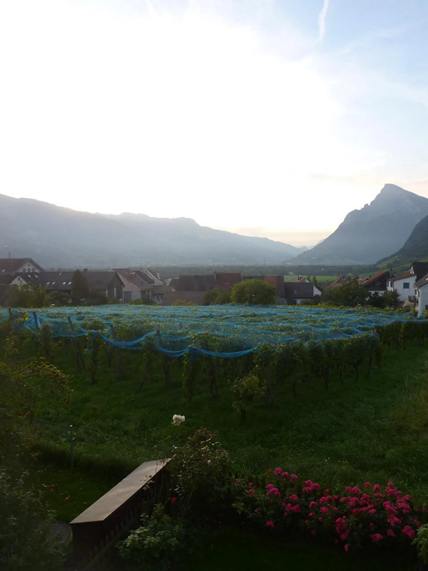 Geräumige 4.5-Zimmer-Wohnung - Foto 2 von 8