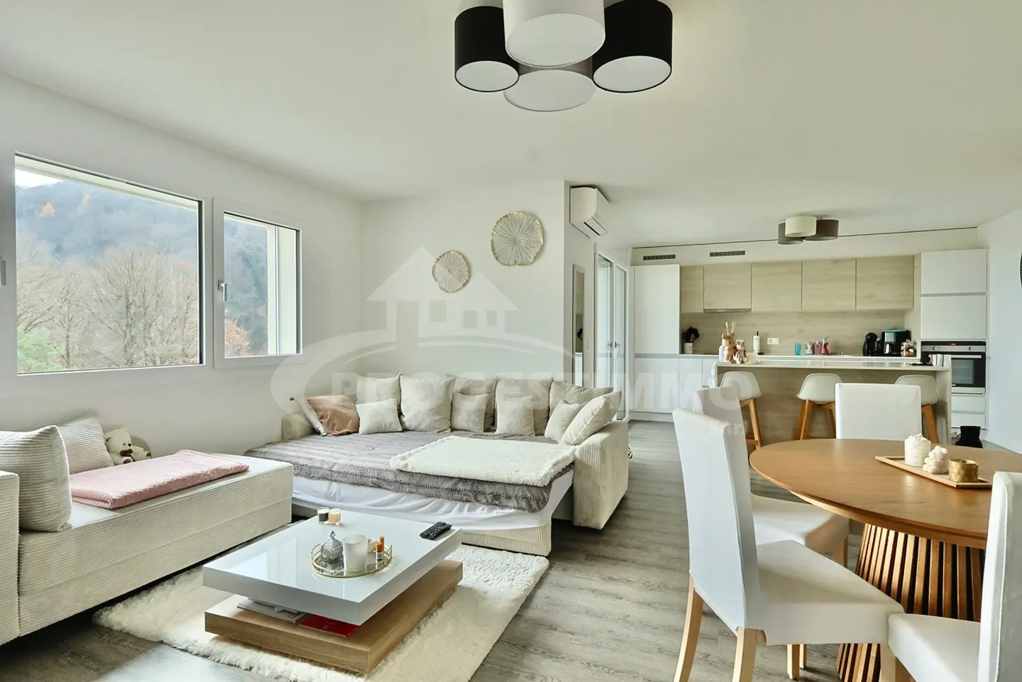 LIGHT, SPACE AND MODERNITY IN THE HEART OF LA RASSE - Photo 1 of 8