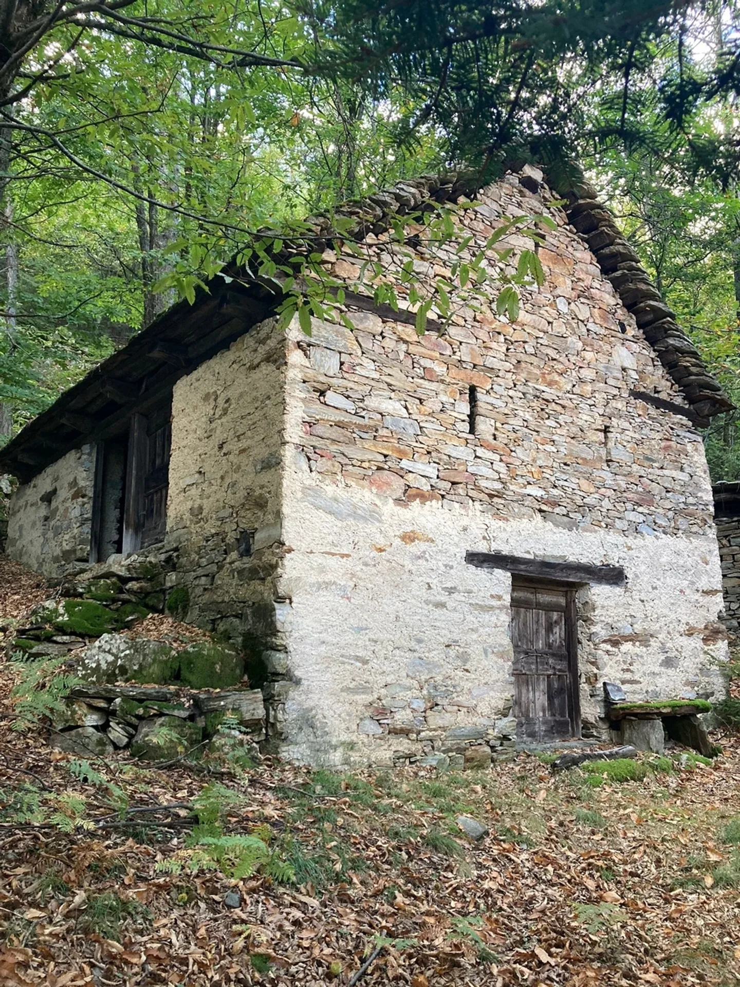Rustikales Haus in Serravalle / Rustico a Serravalle - Foto 1 di 5