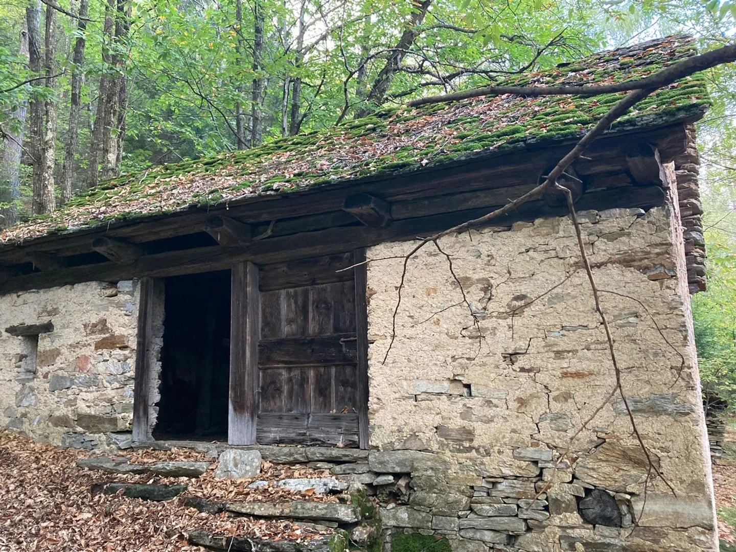 Rustikales Haus in Serravalle / Rustico a Serravalle - Foto 4 di 5
