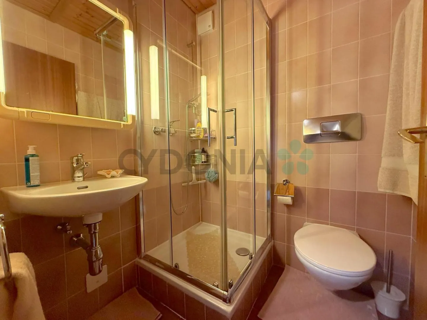 Bella casa a schiera a Commugny - Foto 9 di 12