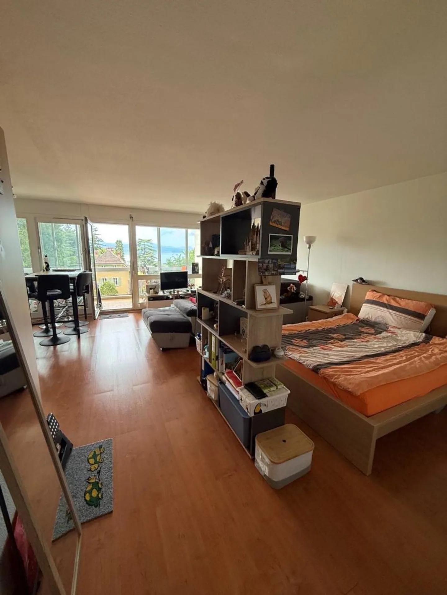 Charming Studio with Lake View - Photo 4 of 4