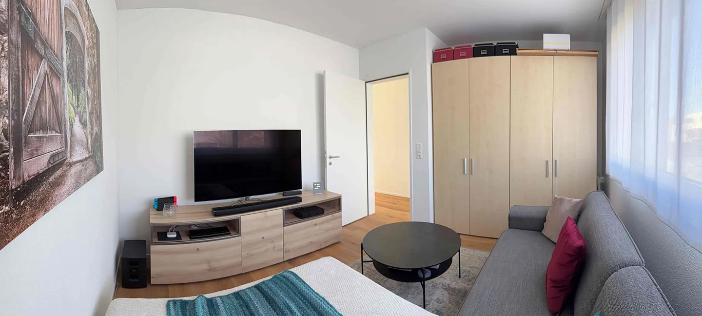 Cercasi inquilino – Casa unifamiliare moderna a Triengen (LU) - Foto 7 di 15