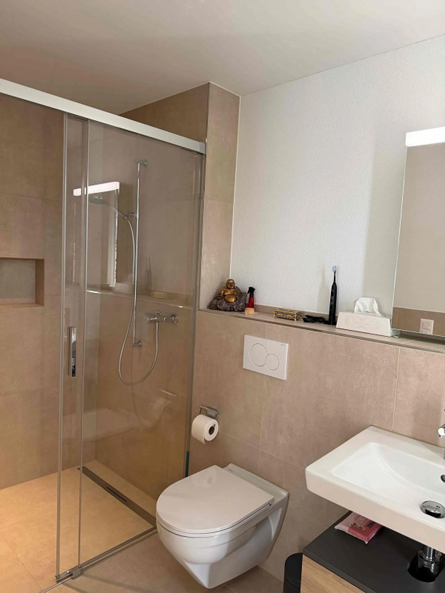 Cercasi inquilino – Casa unifamiliare moderna a Triengen (LU) - Foto 13 di 15