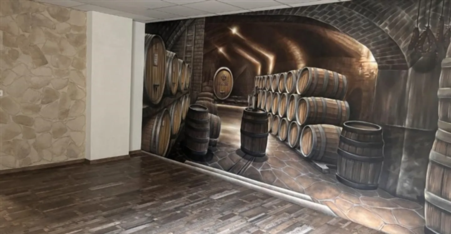 Commerce 3 rooms - Photo 8 of 12