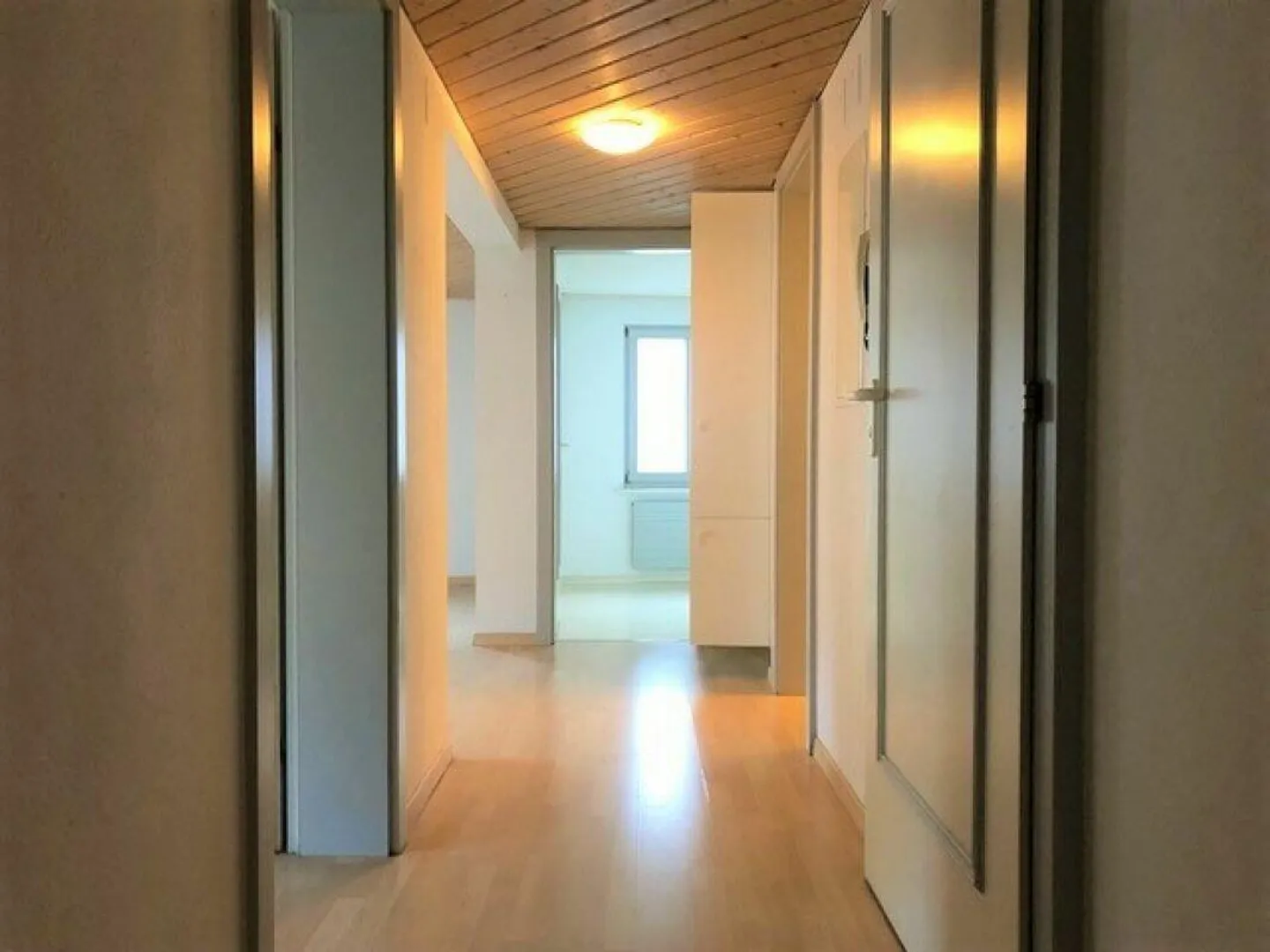Ampio appartamento di 2 stanze con balcone in affitto - Foto 1 di 4