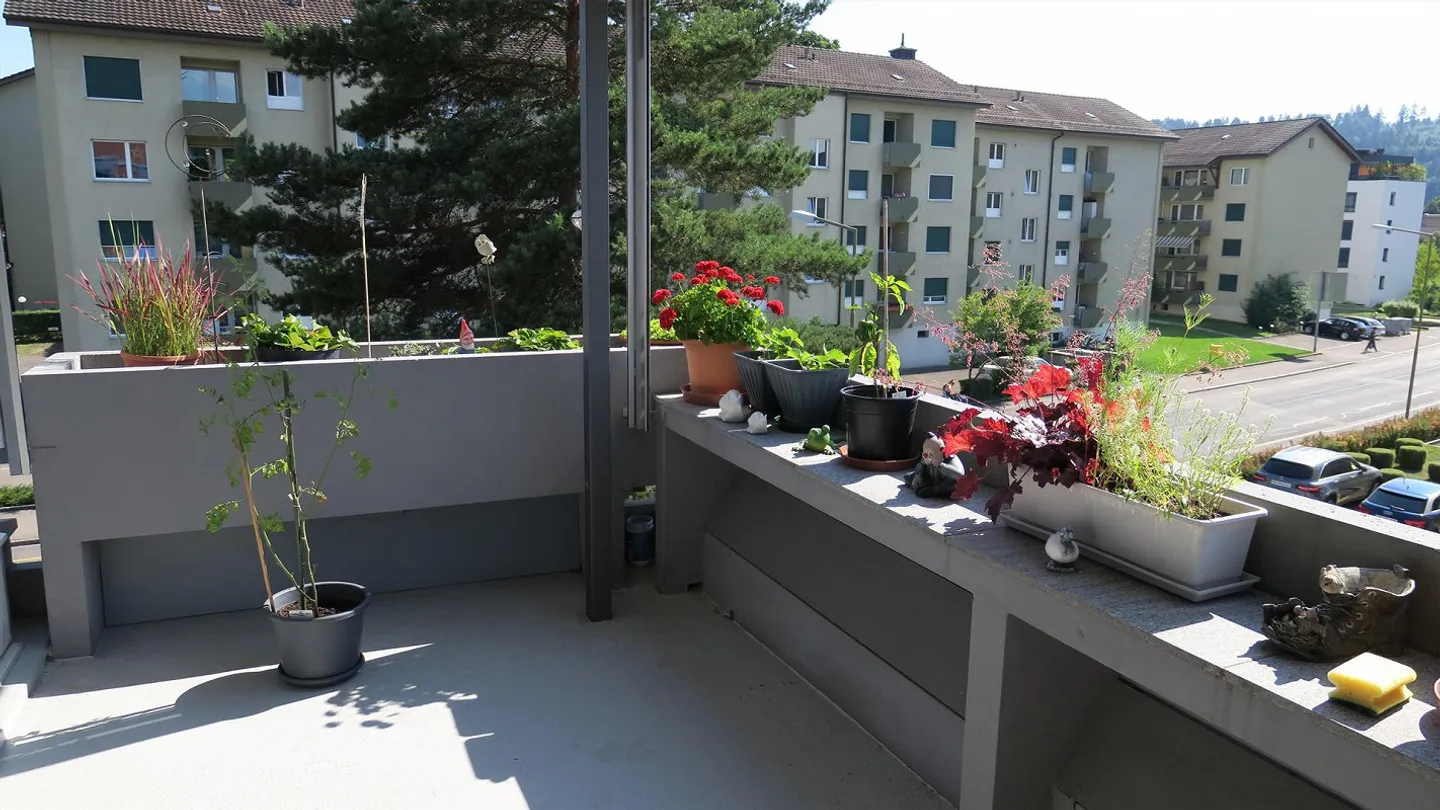 Helle Wohnung in Winterthur - Foto 5 von 10