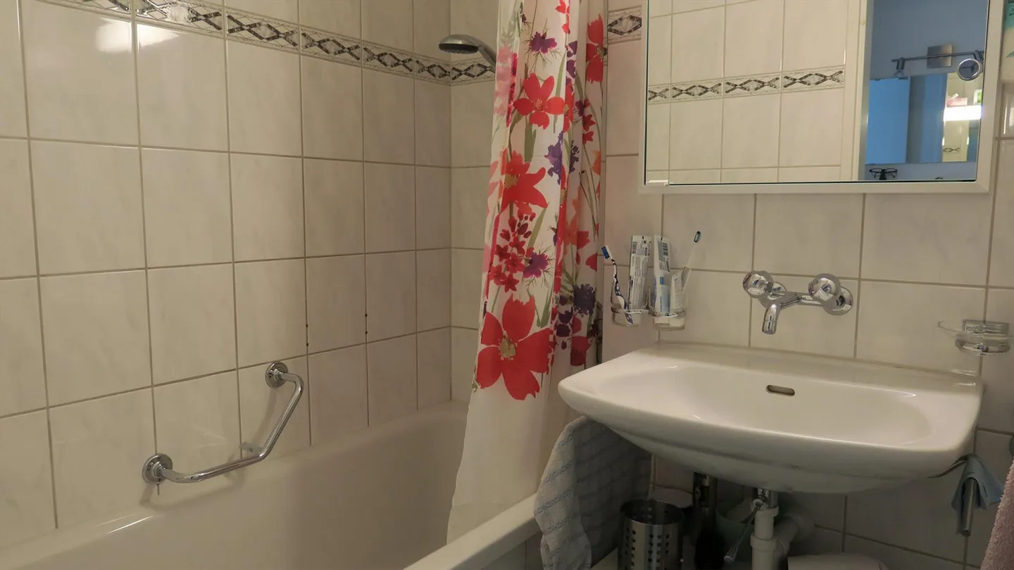 Helle Wohnung in Winterthur - Foto 9 von 10