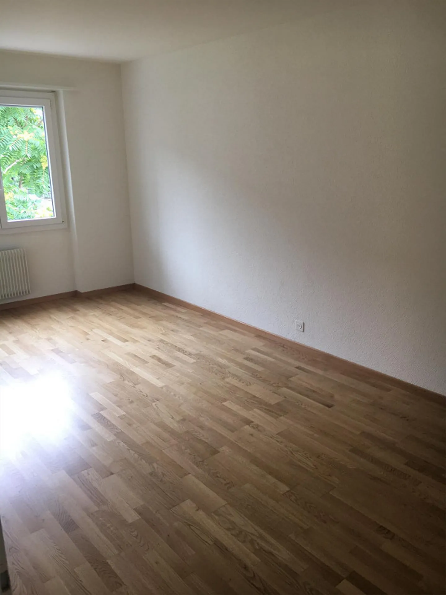 Moderno appartamento con 2 camere nel quartiere Liebefeld - Foto 4 di 7